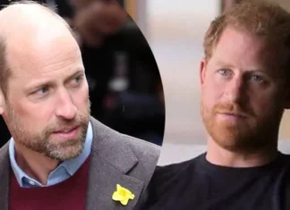 Prince William finally loses his patience with Prince Harry after Huge Statement from Meghan Markle