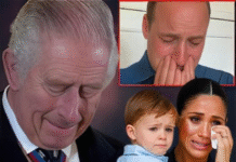 Heartbreaking Tragedy! With Sobs in His Voice, William Informs King Charles of Harry’s Accident in the U.S., as the Palace Mournfully Announces: ‘We Are Deeply Saddened and Extend Our Heartfelt Condolences to…’ See more below 👇👇👇
